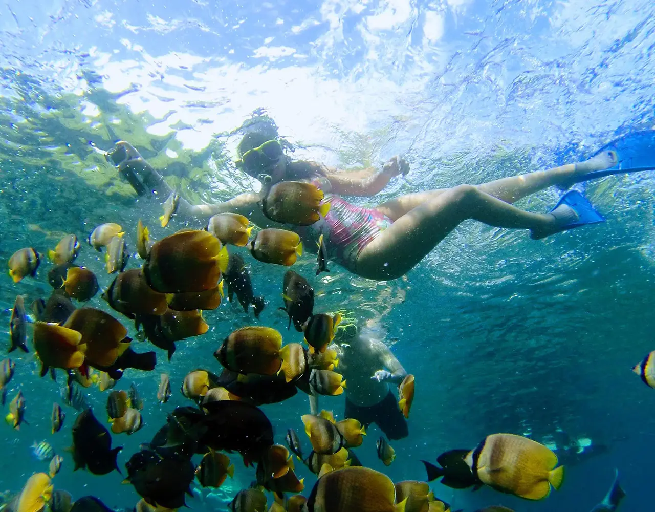 Nusa Penida : 3-4 Spots Snorkeling Tour Manta Rays Nusa Penida : 3-4 Spots Snorkeling Tour Manta Rays in Bali - Photo 2