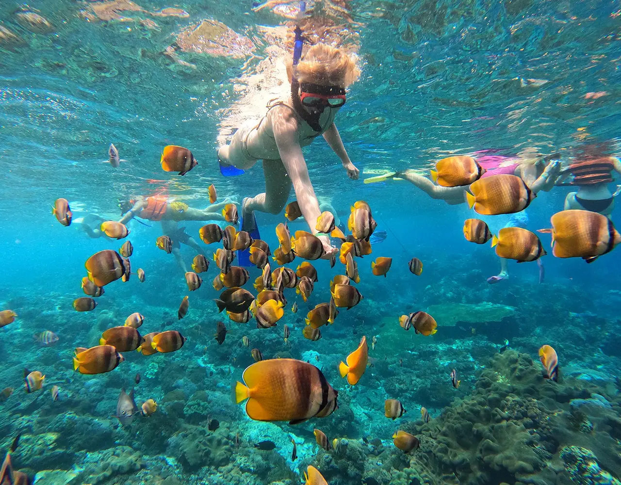 Nusa Penida : 3-4 Spots Snorkeling Tour Manta Rays Nusa Penida : 3-4 Spots Snorkeling Tour Manta Rays in Bali - Photo 8