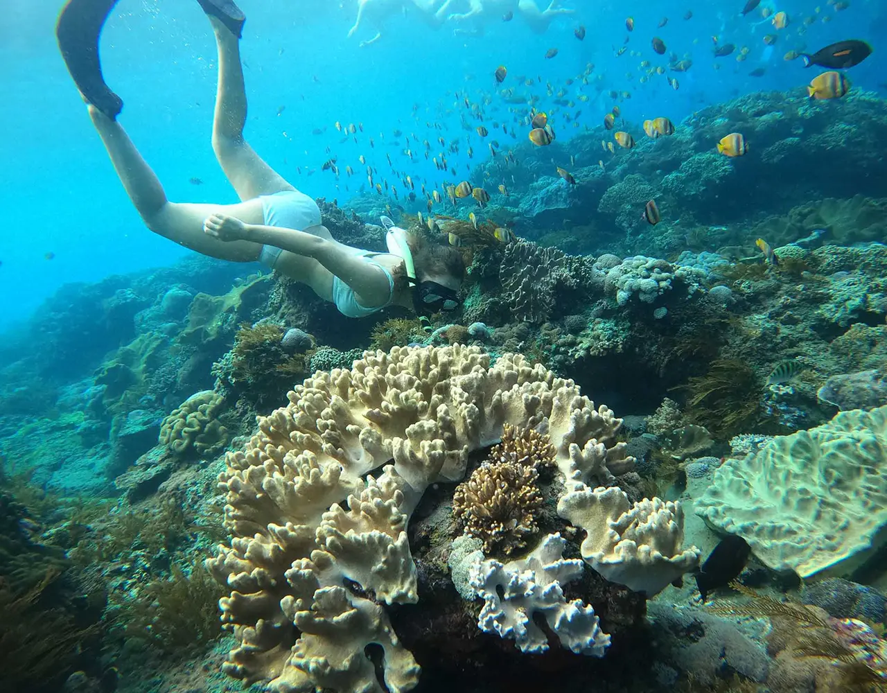 Nusa Penida : 3-4 Spots Snorkeling Tour Manta Rays Nusa Penida : 3-4 Spots Snorkeling Tour Manta Rays in Bali - Photo 9