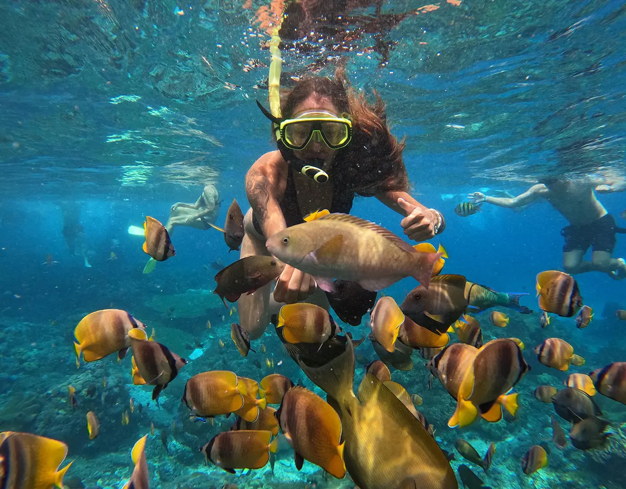 Nusa Penida : 3-4 Spots Snorkeling Tour Manta Rays Nusa Penida : 3-4 Spots Snorkeling Tour Manta Rays in Bali - Photo 11