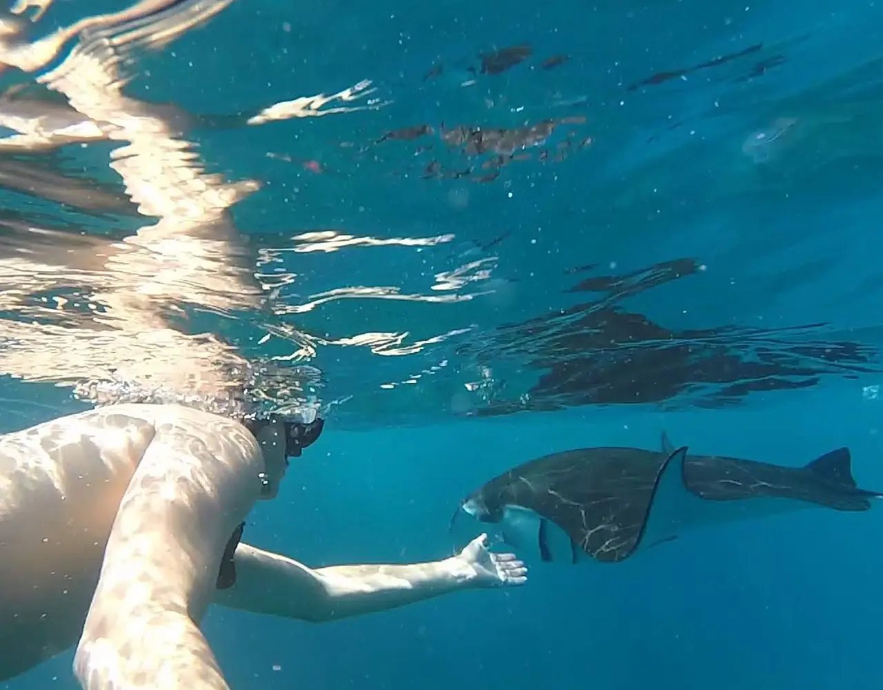Nusa Penida : 3-4 Spots Snorkeling Tour Manta Rays Nusa Penida : 3-4 Spots Snorkeling Tour Manta Rays in Bali - Photo 12