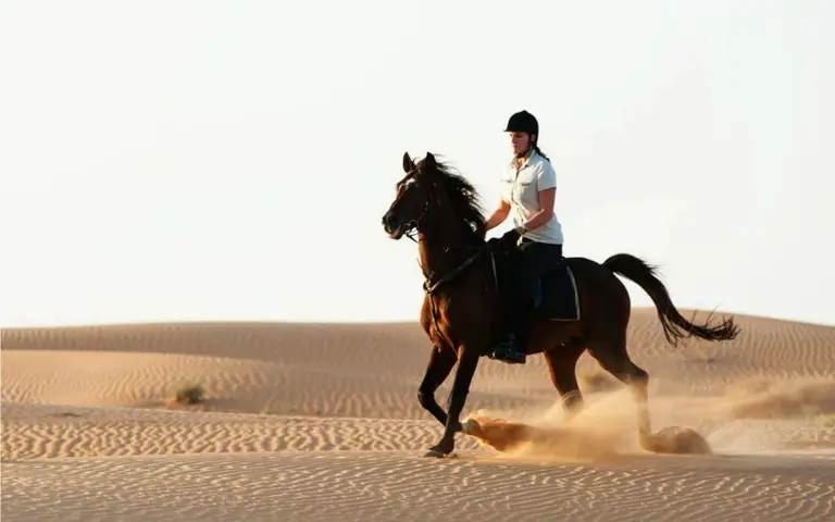 Horse Desert Park Ride in Dubai