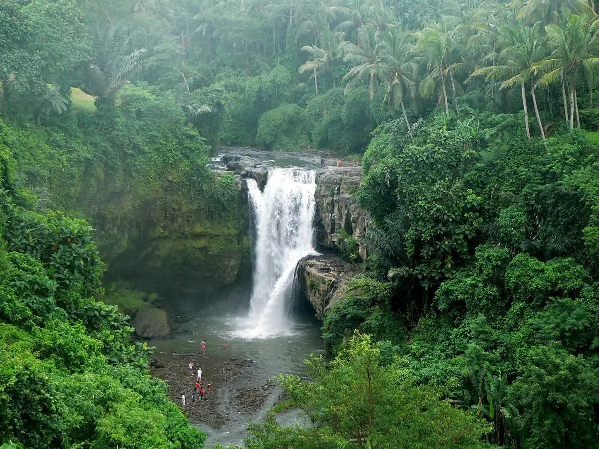 Best ATV Quad Adventure with Ubud Highlight Tours Best ATV Quad Adventure with Ubud Highlight Tours in Bali - Photo 5