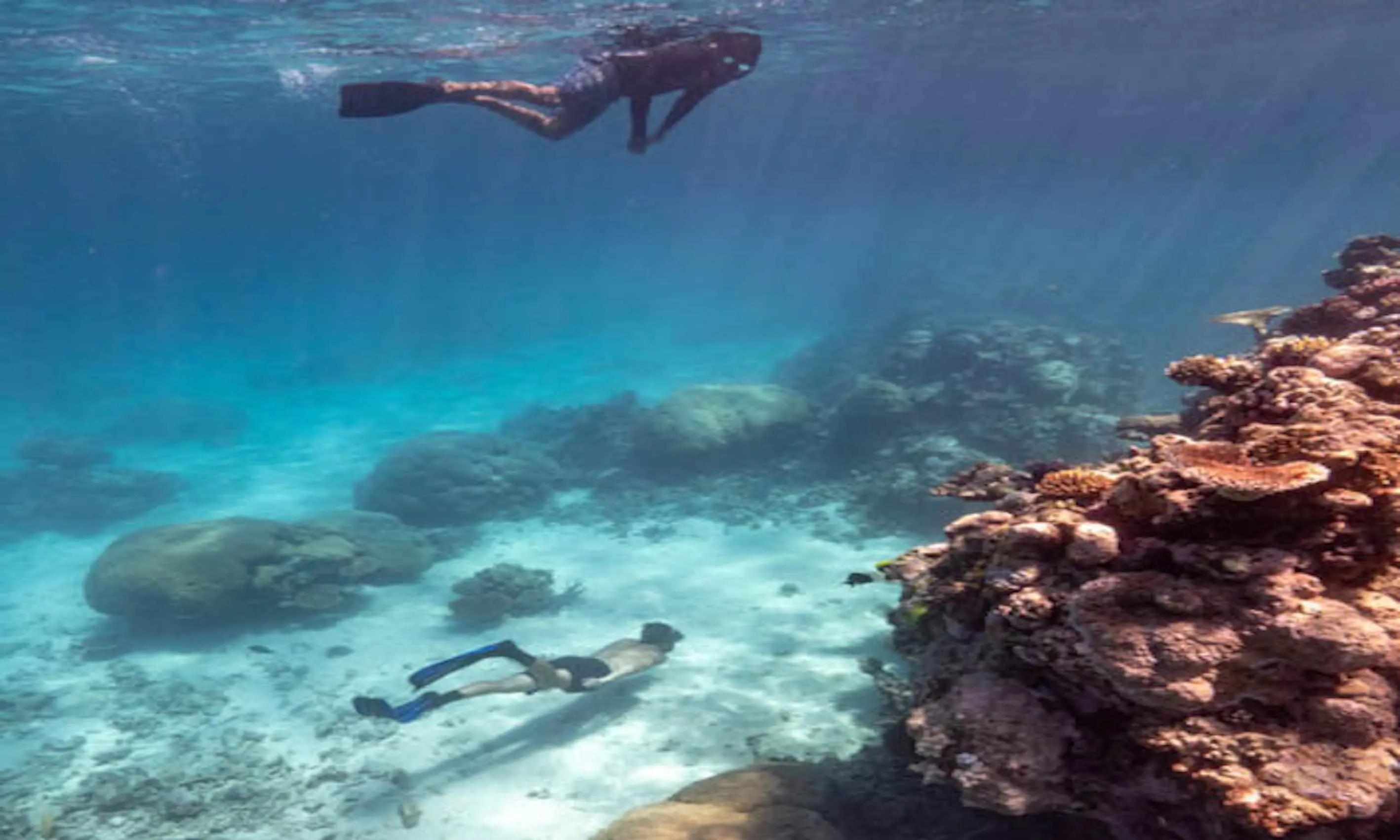 Snorkel & Dive Tour in Adelaide
