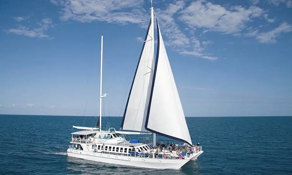Wavedancer Low Isles Cruise from Port Douglas Marina in Sydney - Photo 6