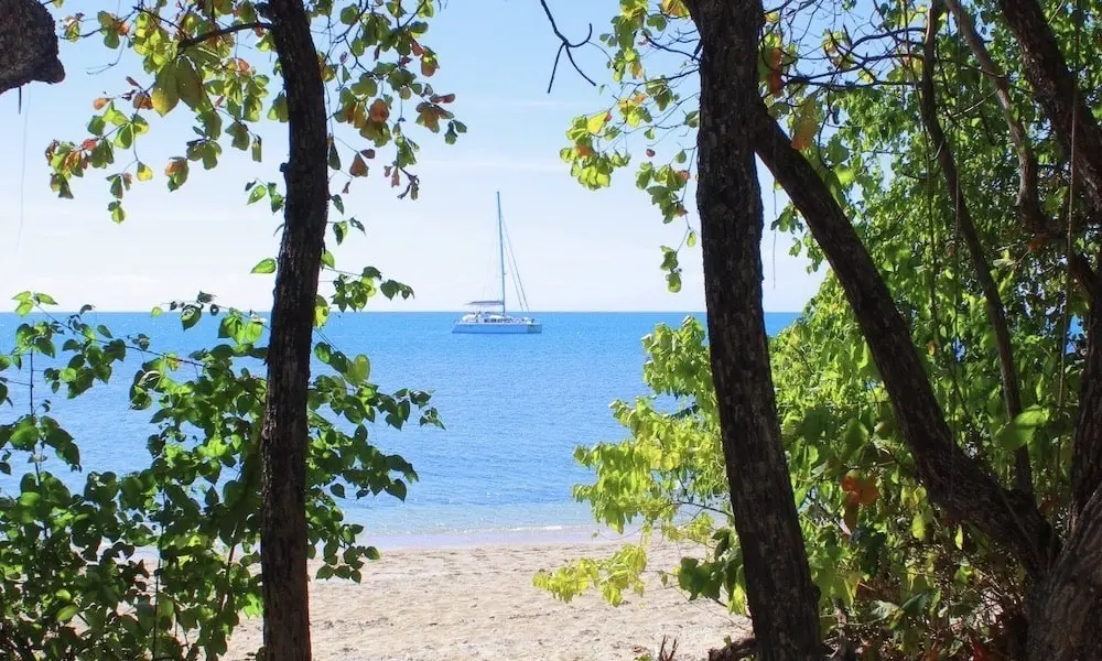Wavedancer Low Isles Cruise from Port Douglas Marina in Sydney