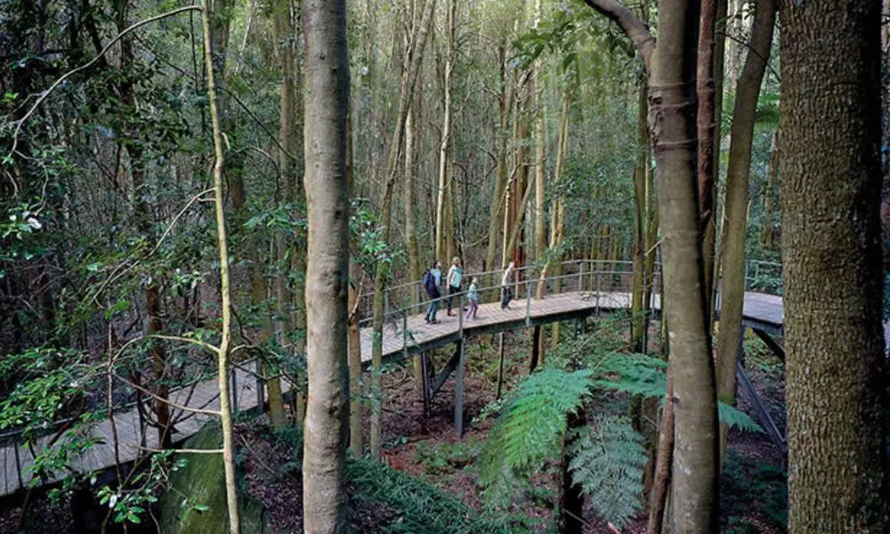 Blue Mountains Scenic World Pass Blue Mountains Scenic World Pass in Sydney - Photo 3