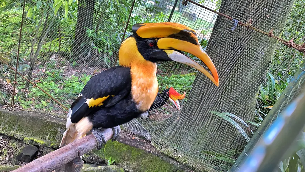 KL Bird Park Admission Ticket With One Way Transfer in Kuala Lumpur - Photo 3