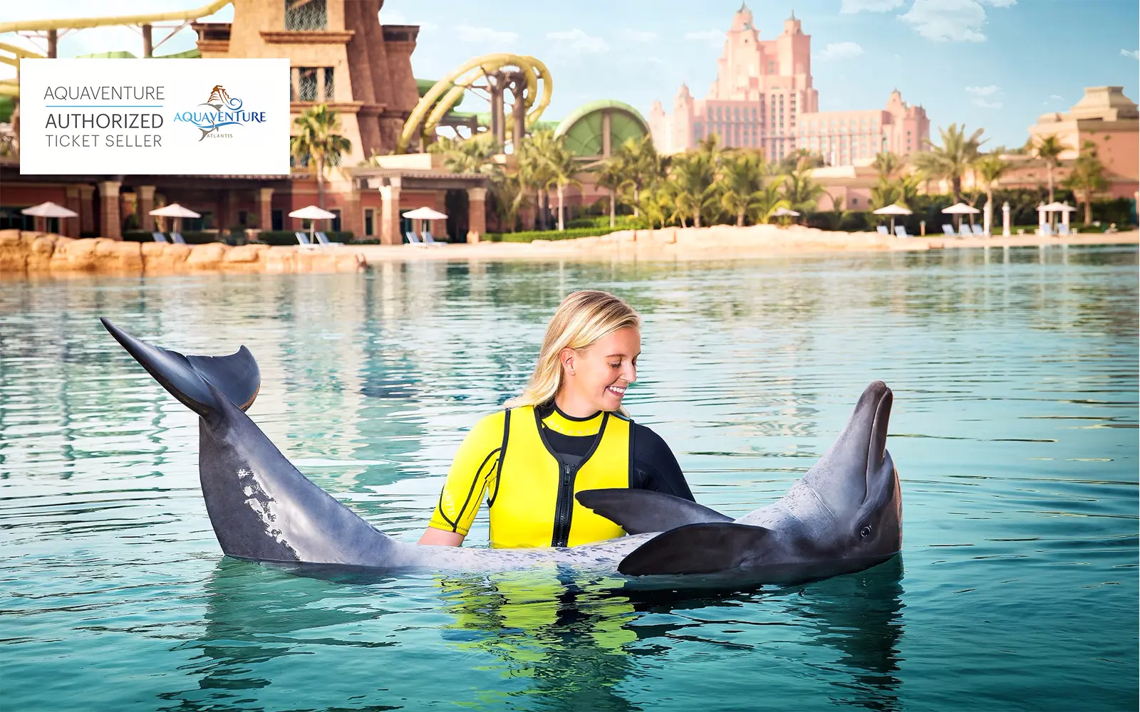 Royal Swim with Dolphins in Dubai