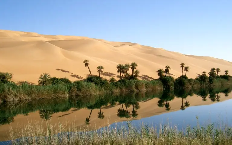 Liwa Safari in Dubai