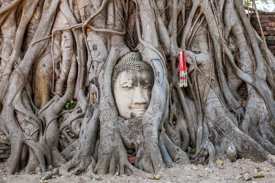 From Bangkok: Maeklong Railway Market , Floating Market and Ayutthaya Tour  with English Guide in Bangkok - Photo 4