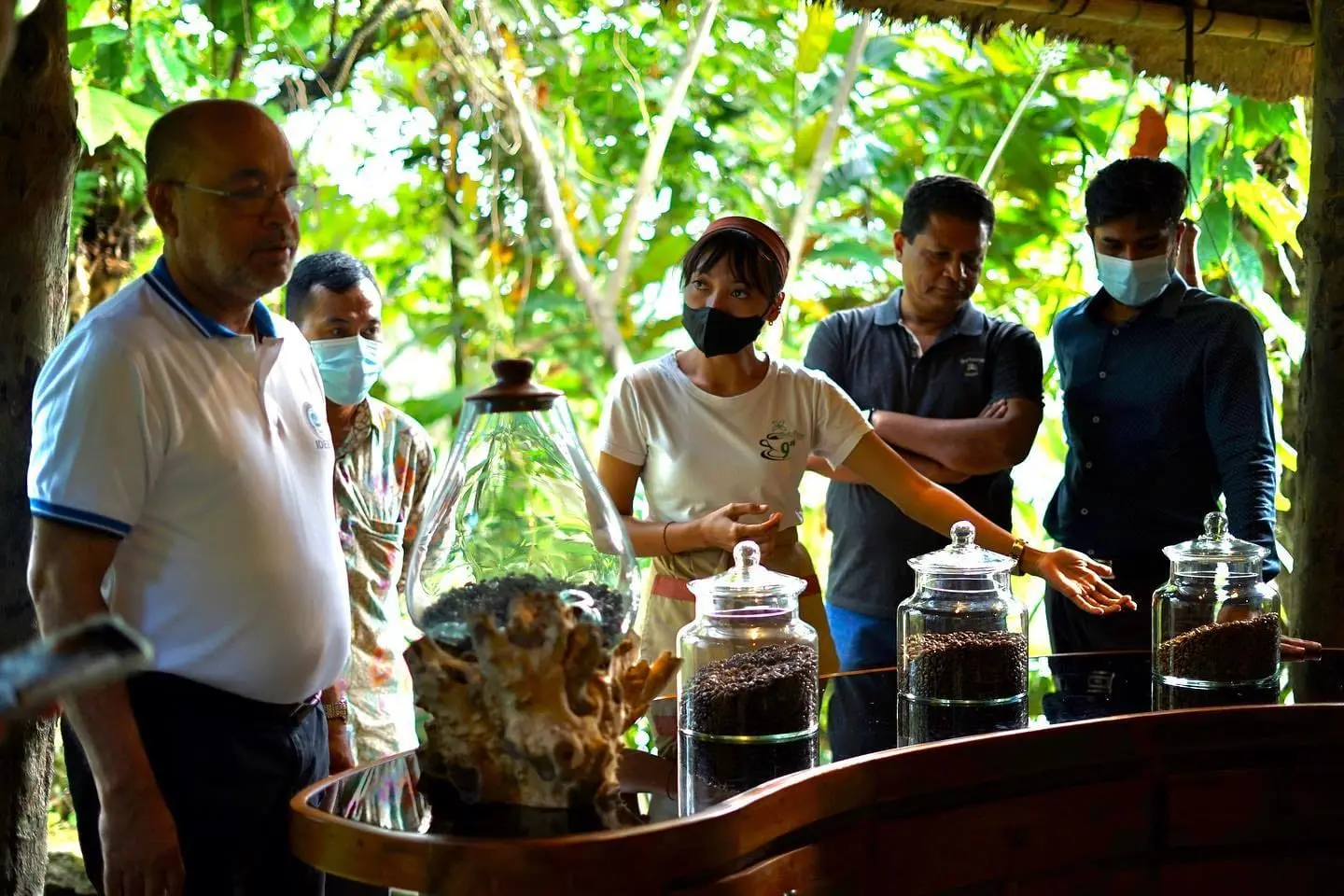 Coffee Experience by Bali Pulina in Bali