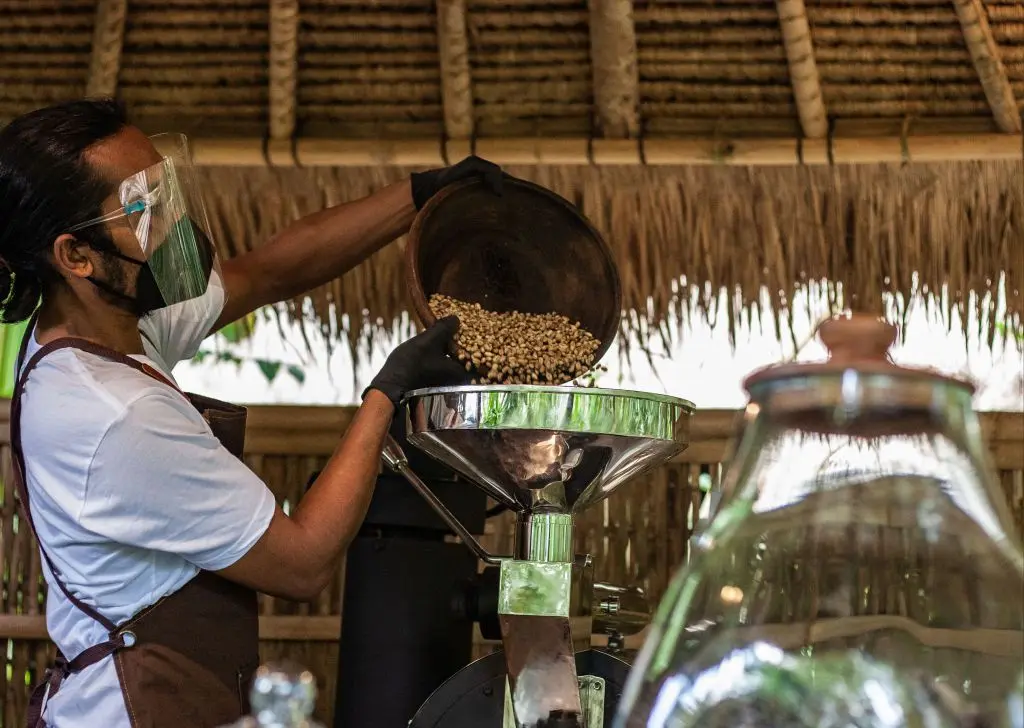 Coffee Experience by Bali Pulina Coffee Experience by Bali Pulina in Bali - Photo 5