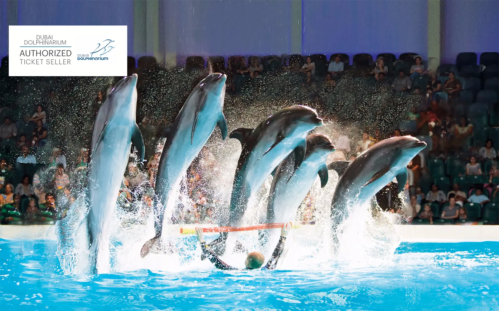 Dubai Dolphinarium: Dolphin & Seal Show in Dubai