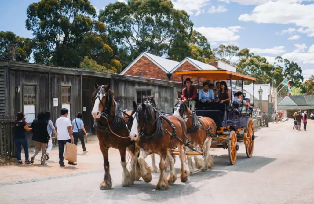 Sovereign Hill Entry Ticket in Melbourne - Photo 6