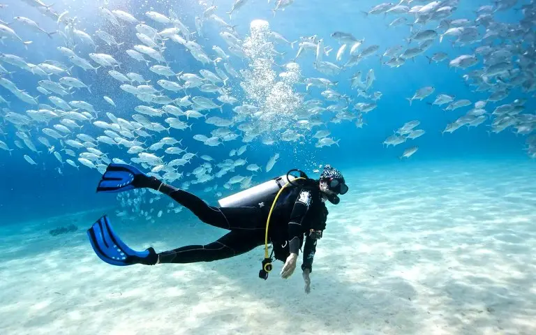 PADI Scuba Diving Course in Dubai