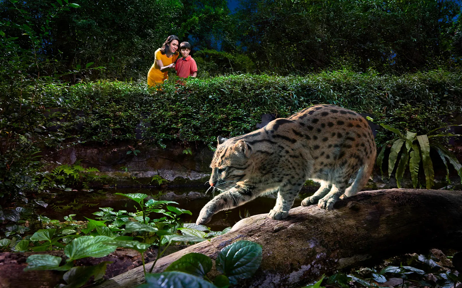 Shared Singapore Attractions Transfers from Hotel in Singapore - Photo 2