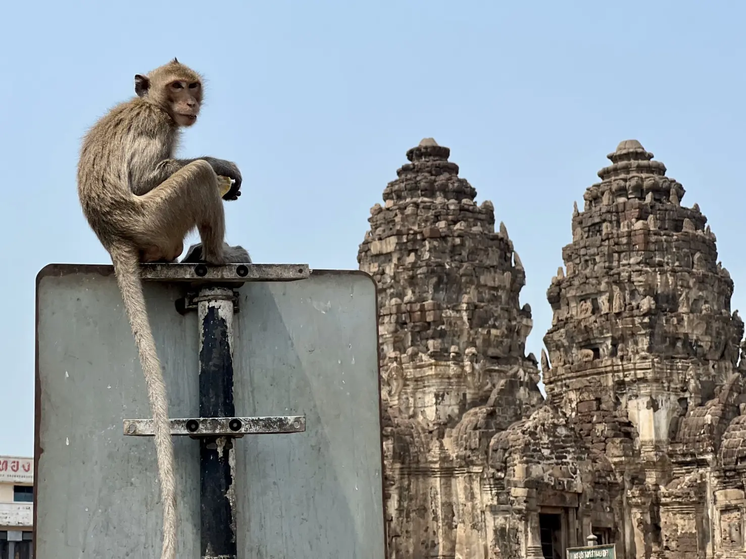 Unseen Lopburi: The Land of Monkey in Bangkok