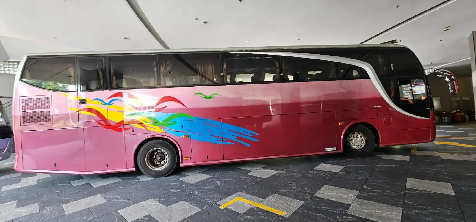 55 SEATER TRANSFER in Singapore