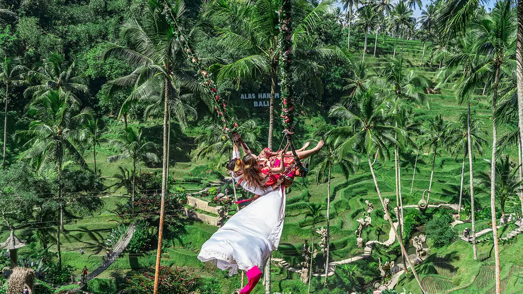 Alas Harum Rides & Attraction Packages Alas Harum Rides & Attraction Packages in Bali - Photo 2