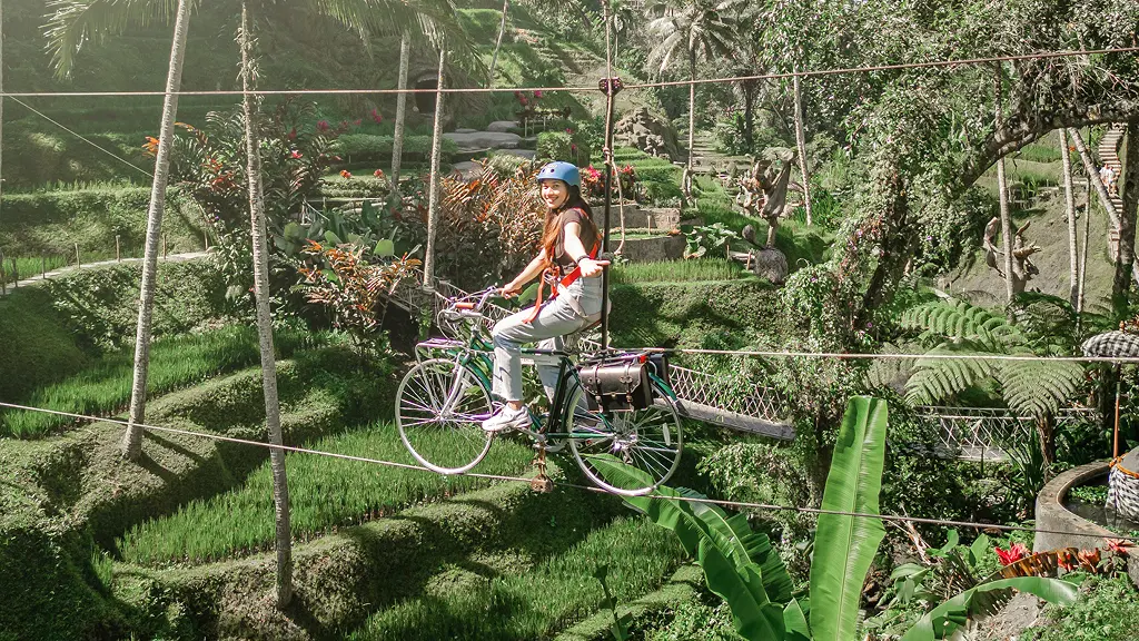 Alas Harum Rides & Attraction Packages Alas Harum Rides & Attraction Packages in Bali - Photo 5