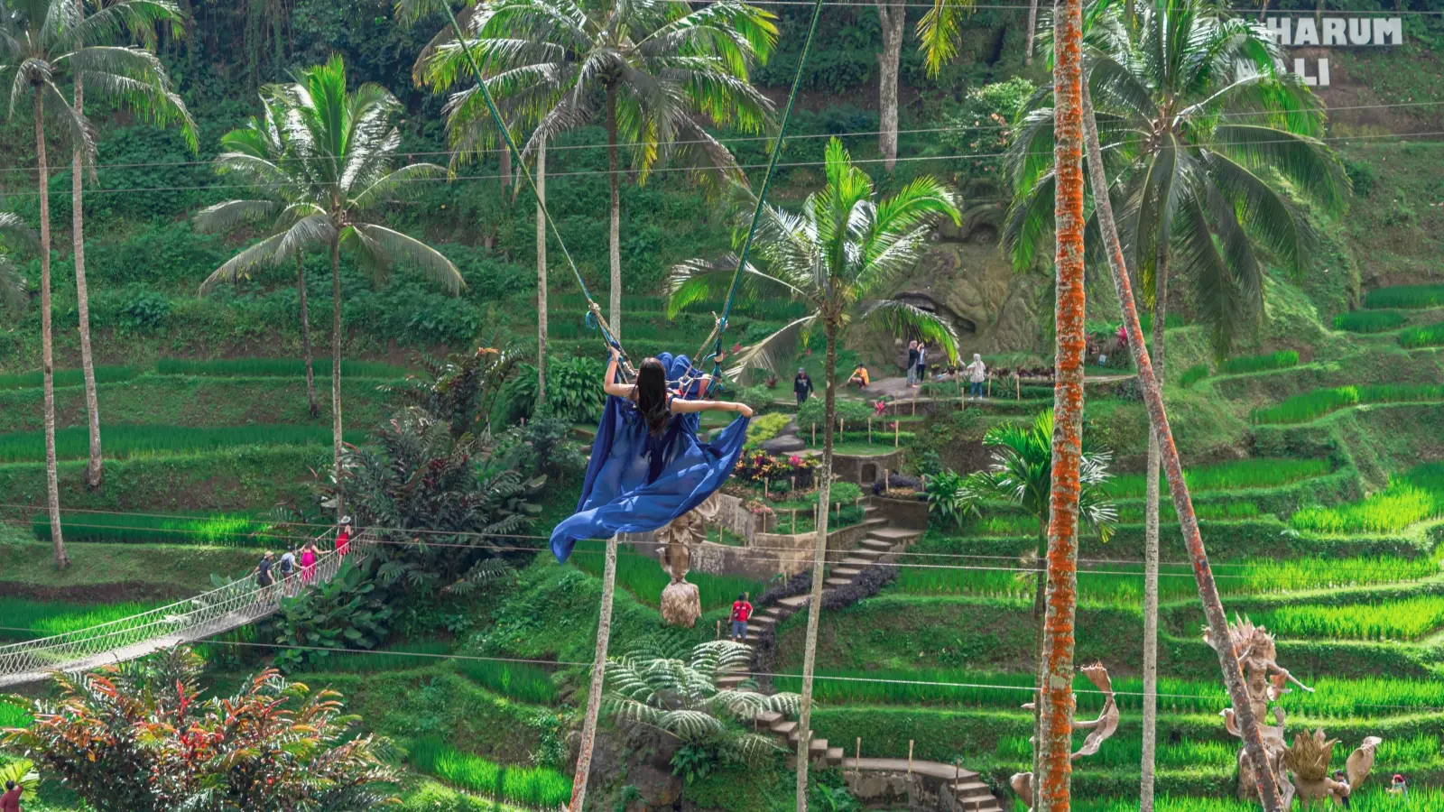 Alas Harum Rides & Attraction Packages Alas Harum Rides & Attraction Packages in Bali - Photo 8