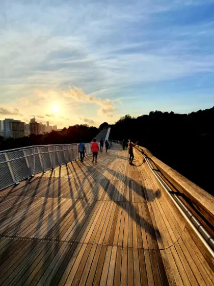 Singapore Mount Faber Trails and Garden Tea Private Guided Tour in Singapore - Photo 4
