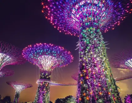 Singapore: Gardens and Satay by The Bay Private Guided Tour in Singapore