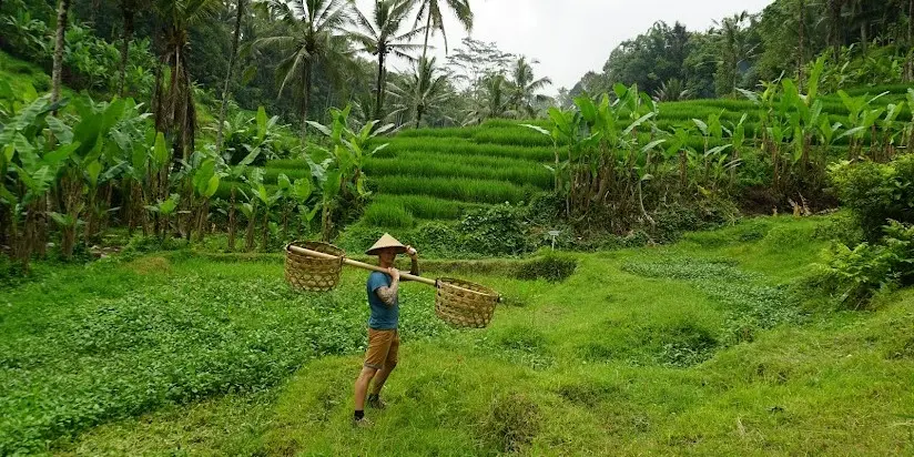 Ubud Zipline, Bali Swing & Sky Bike Experience in Private Rice Terrace Ubud Zipline, Bali Swing & Sky Bike Experience in Private Rice Terrace in Bali - Photo 6