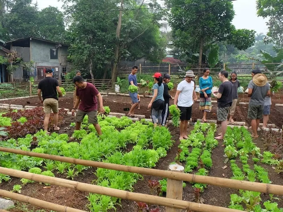Tour Kebun Kumara by Campa Tour Kebun Kumara by Campa in Jakarta - Photo 2