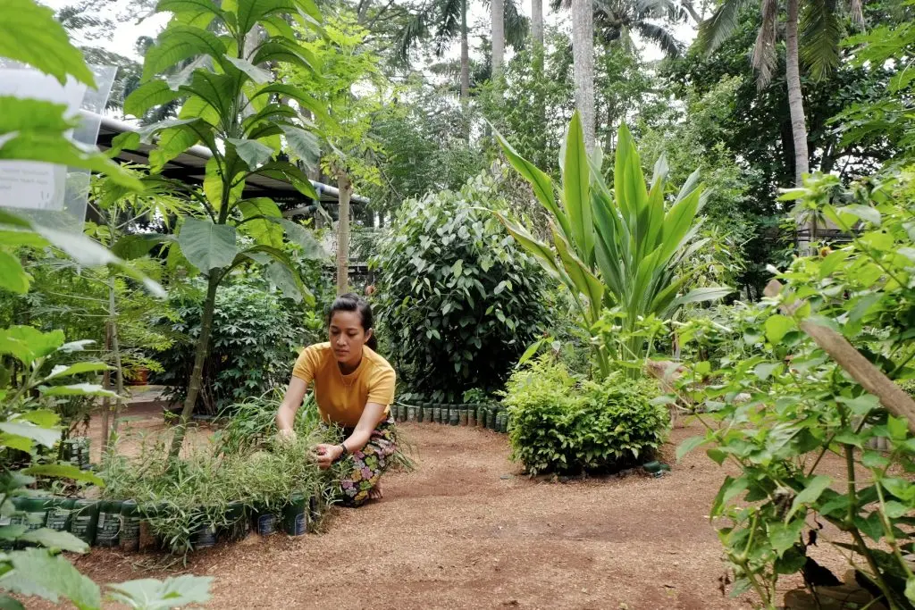 Tour Kebun Kumara by Campa in Jakarta