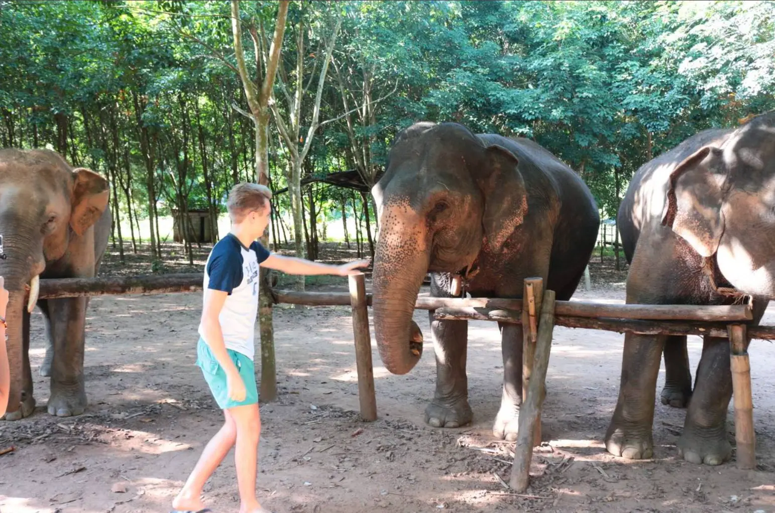 Hug Elephant Sanctuary Chiangmai Hug Elephant Sanctuary Chiangmai in Chiang Mai - Photo 2
