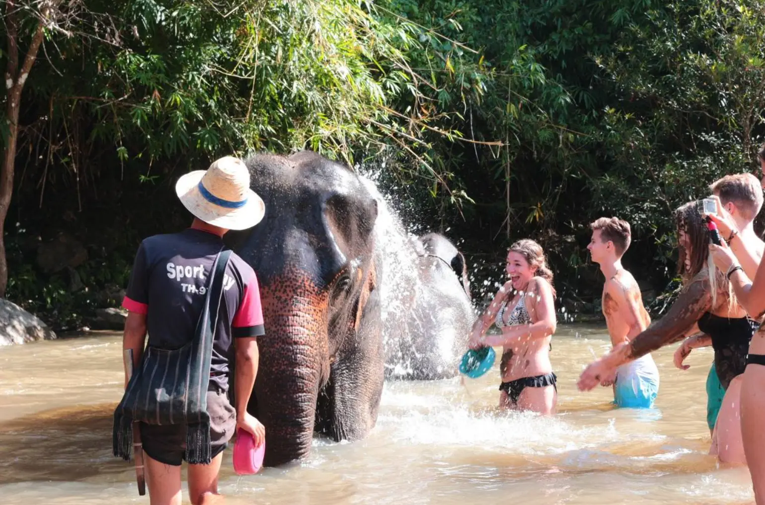 Hug Elephant Sanctuary Chiangmai Hug Elephant Sanctuary Chiangmai in Chiang Mai - Photo 3