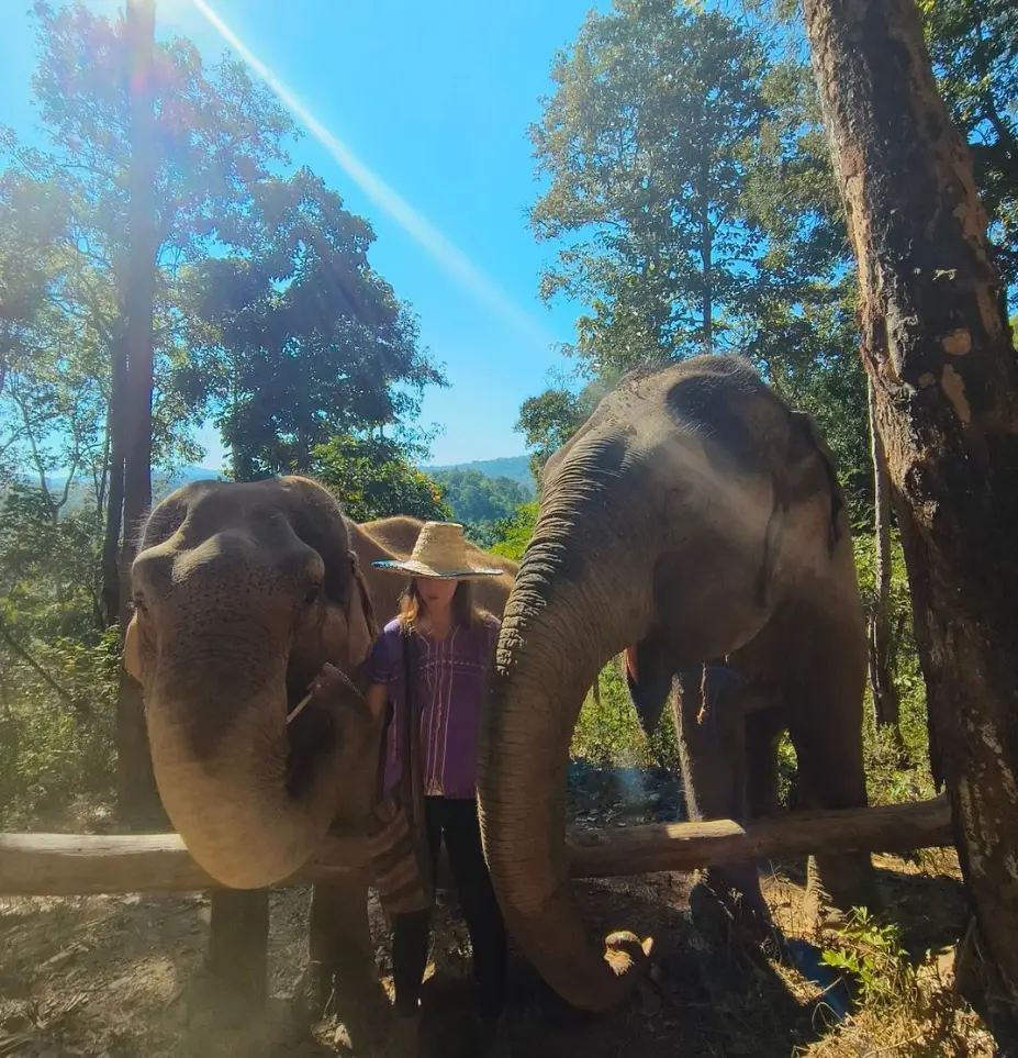 Hug Elephant Sanctuary Chiangmai Hug Elephant Sanctuary Chiangmai in Chiang Mai - Photo 7