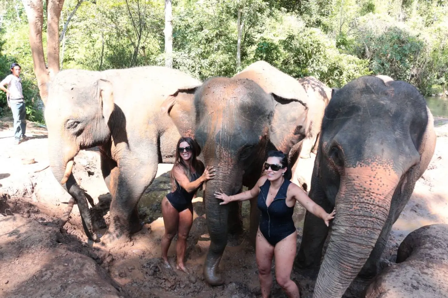 Hug Elephant Sanctuary Chiangmai Hug Elephant Sanctuary Chiangmai in Chiang Mai - Photo 8