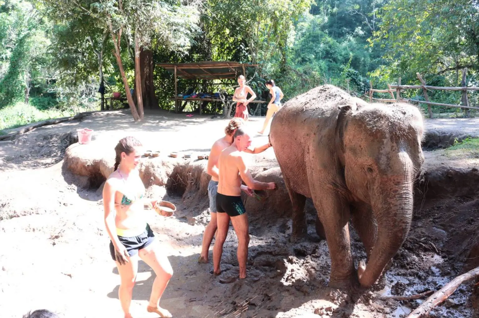 Hug Elephant Sanctuary Chiangmai Hug Elephant Sanctuary Chiangmai in Chiang Mai - Photo 9