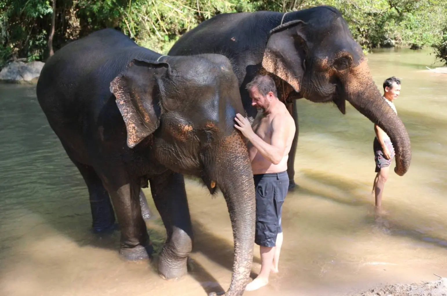 Hug Elephant Sanctuary Chiangmai Hug Elephant Sanctuary Chiangmai in Chiang Mai - Photo 10