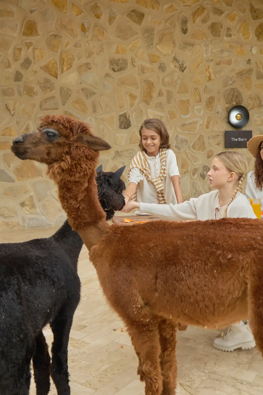 Bali Farm House Admission Ticket Bali Farm House Admission Ticket in Bali - Photo 5