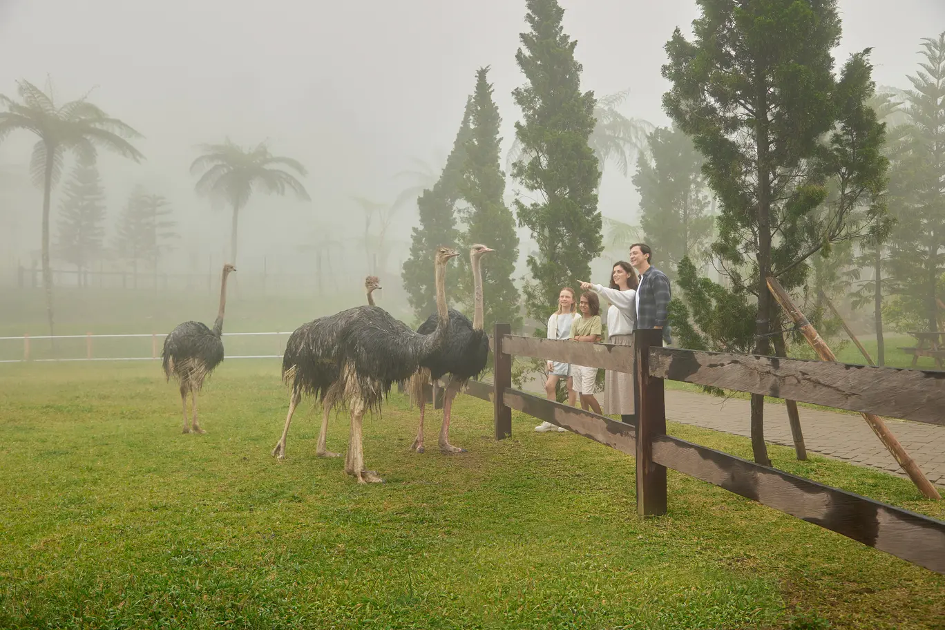 Bali Farm House Admission Ticket Bali Farm House Admission Ticket in Bali - Photo 9
