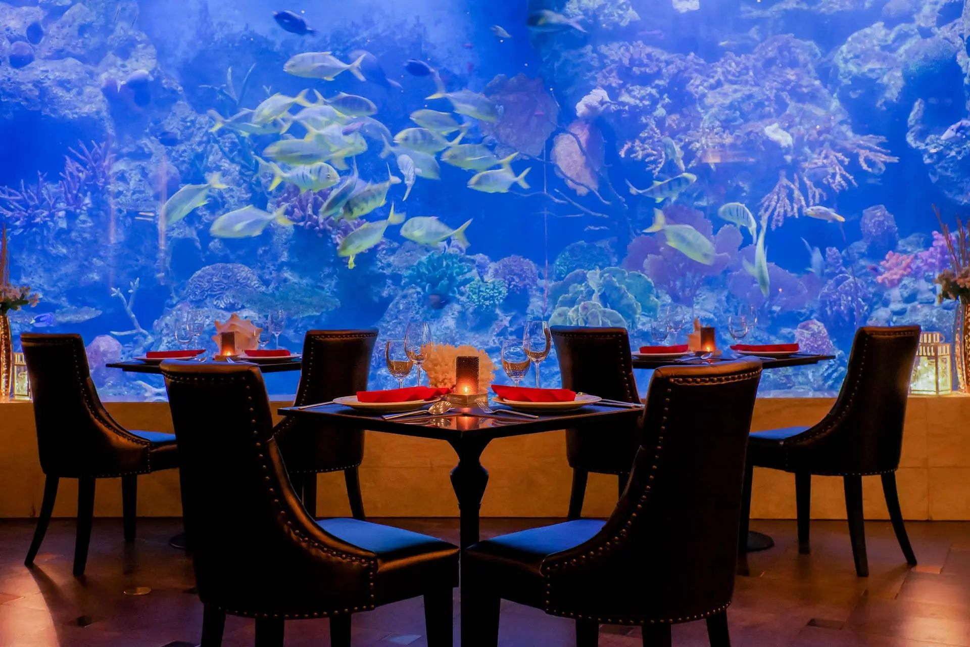 Copper Aquarium Restaurant at Amaranta Hotel Bangkok Copper Aquarium Restaurant at Amaranta Hotel Bangkok in Bangkok - Photo 9