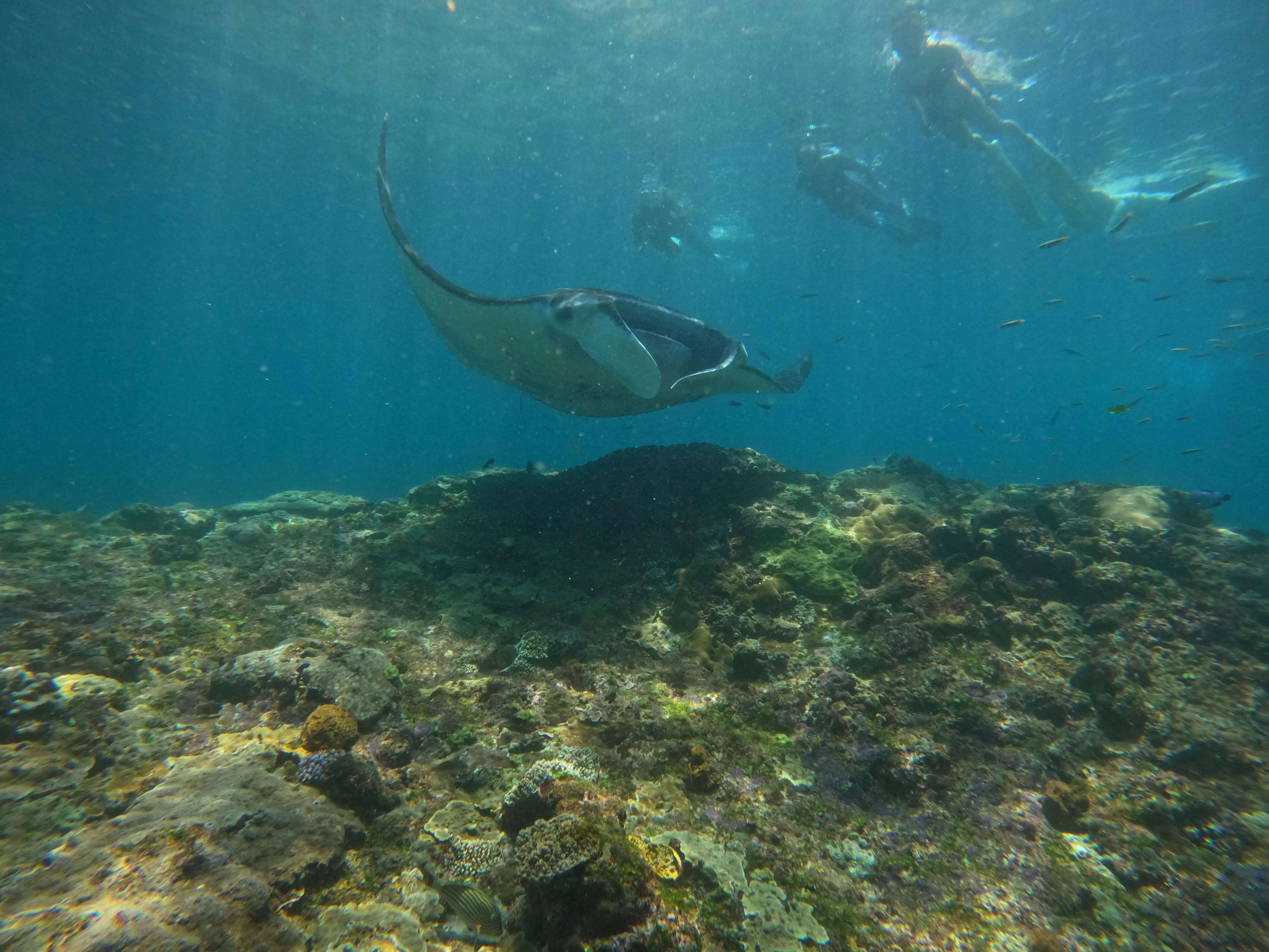 Lembongan Island Explore in Bali