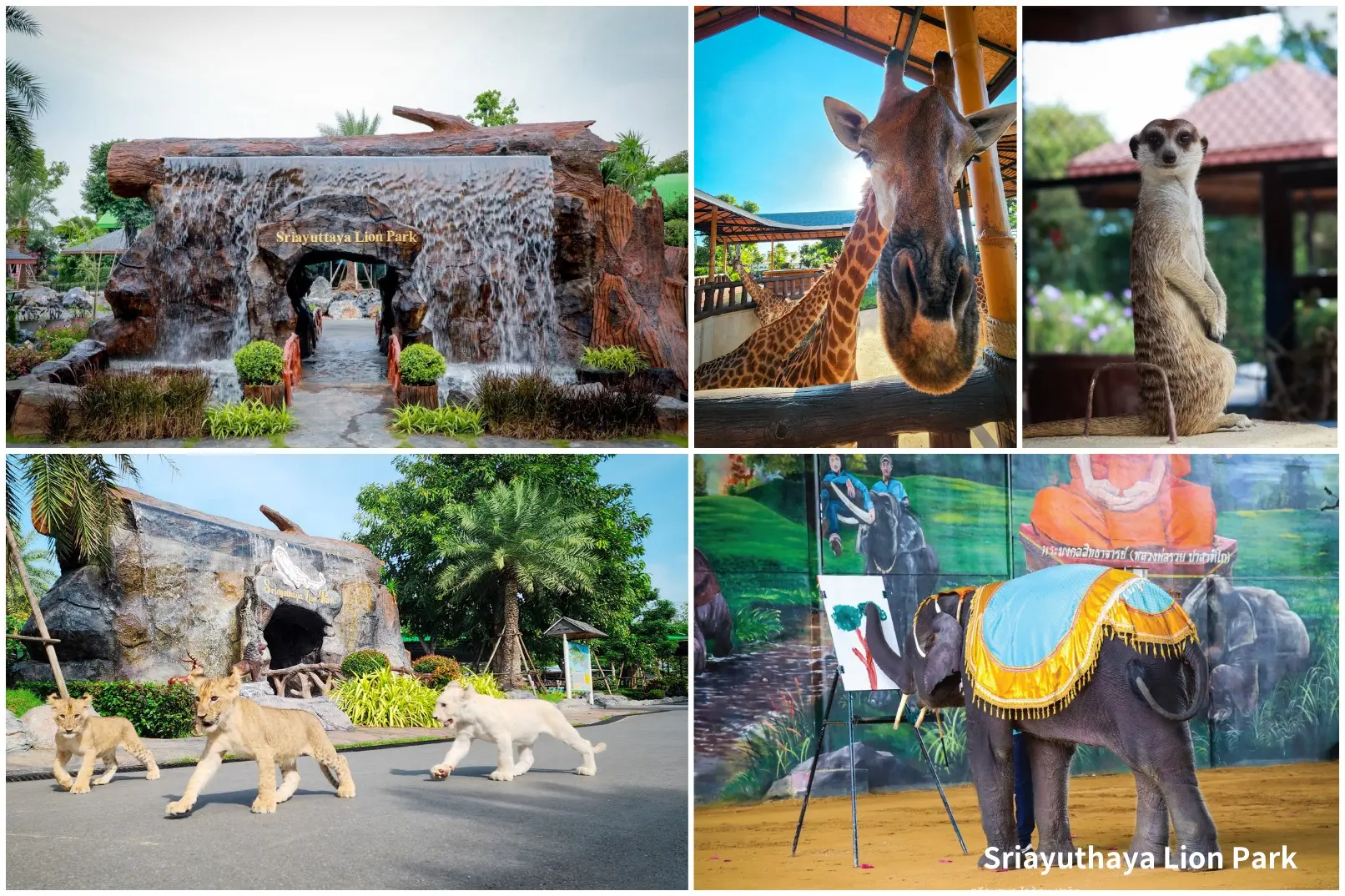 The Historic City Of Ayutthaya And Sriayuthaya Lion Park Day Tour in Bangkok - Photo 4