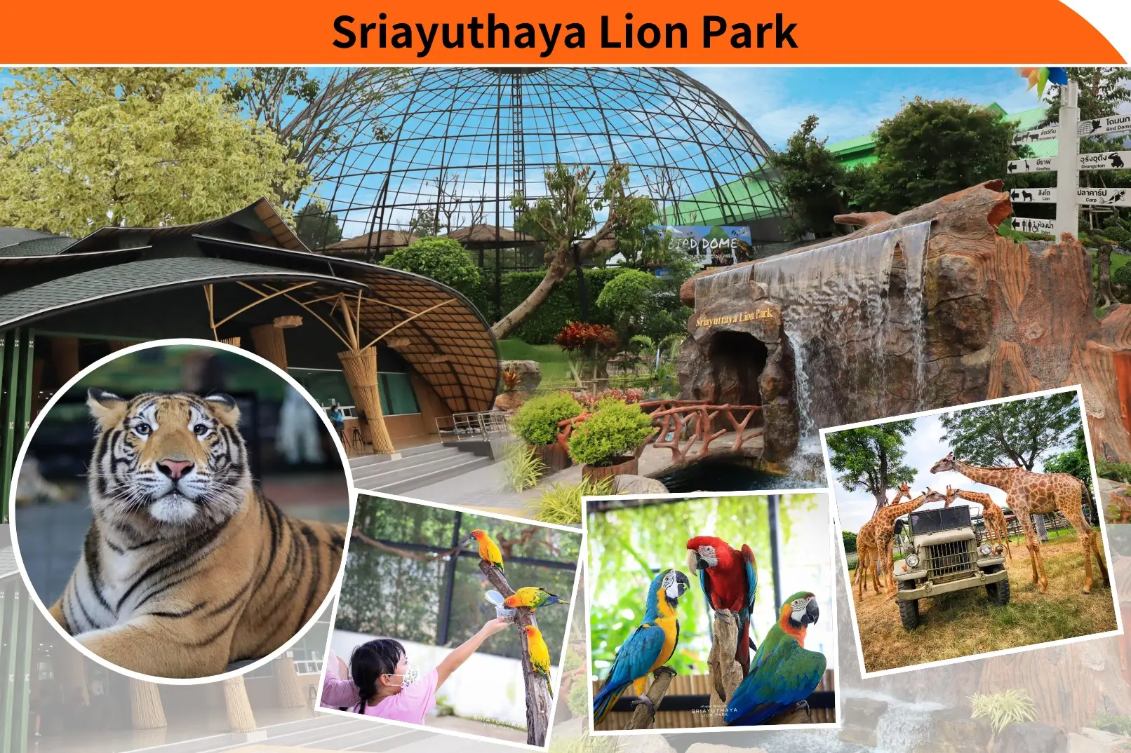 The Historic City Of Ayutthaya And Sriayuthaya Lion Park Day Tour in Bangkok