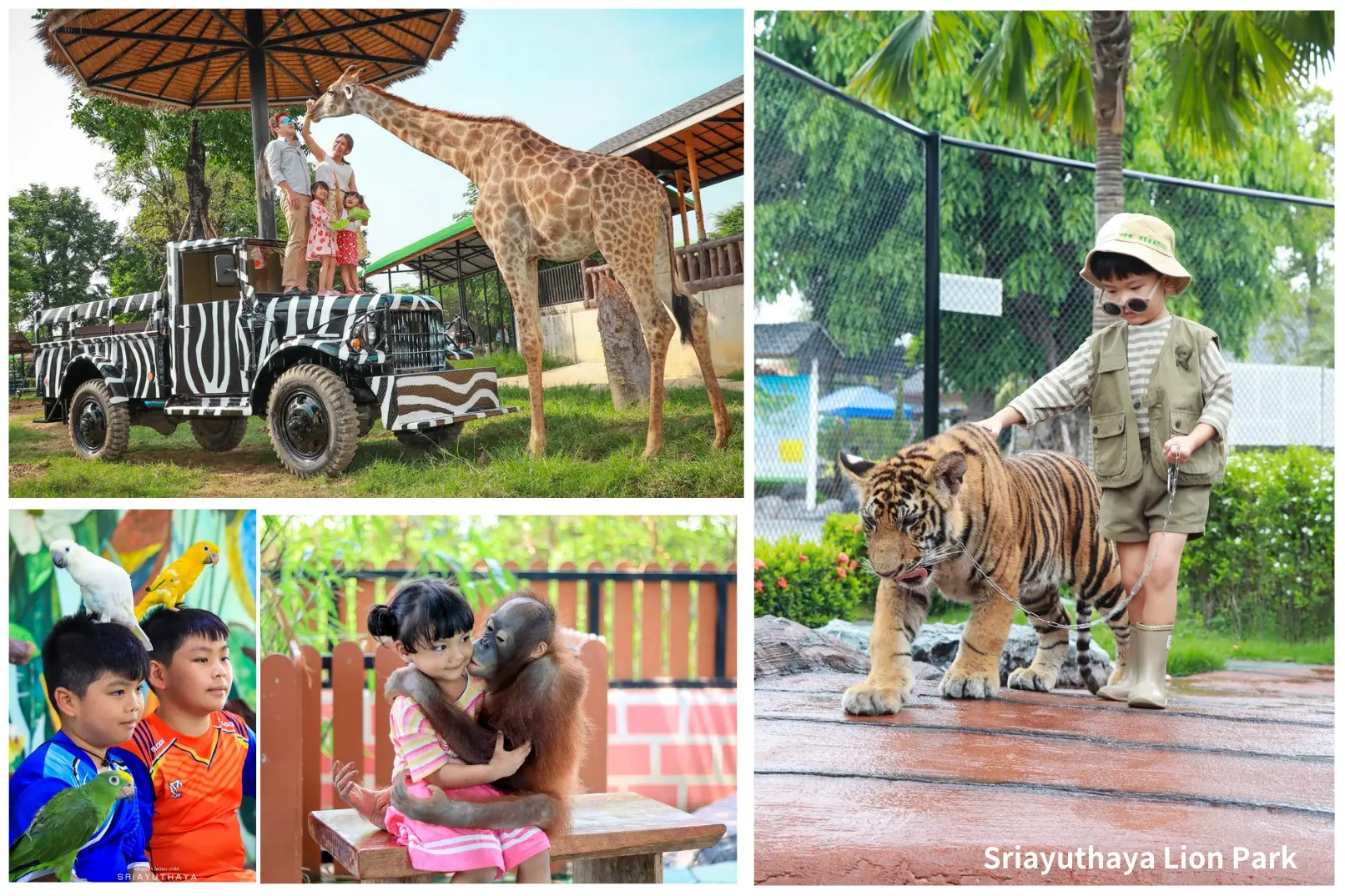 The Historic City Of Ayutthaya And Sriayuthaya Lion Park Day Tour in Bangkok - Photo 7