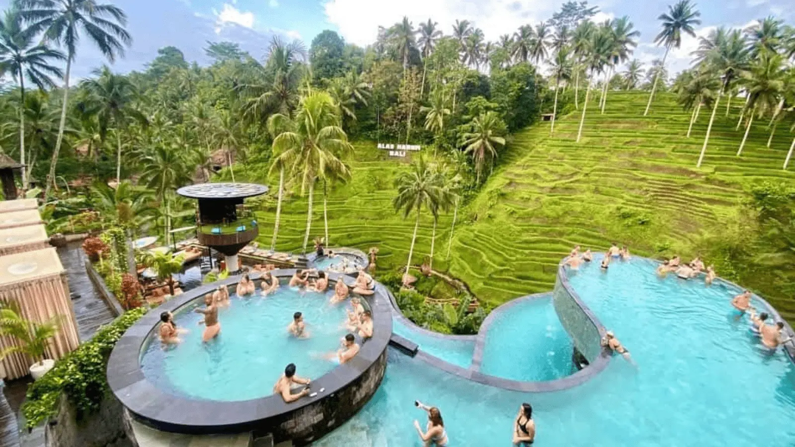 Ubud Tour A Ubud Tour A in Bali - Photo 2