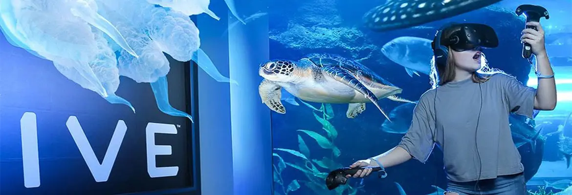 Dubai Aquarium And Underwater Zoo in Dubai