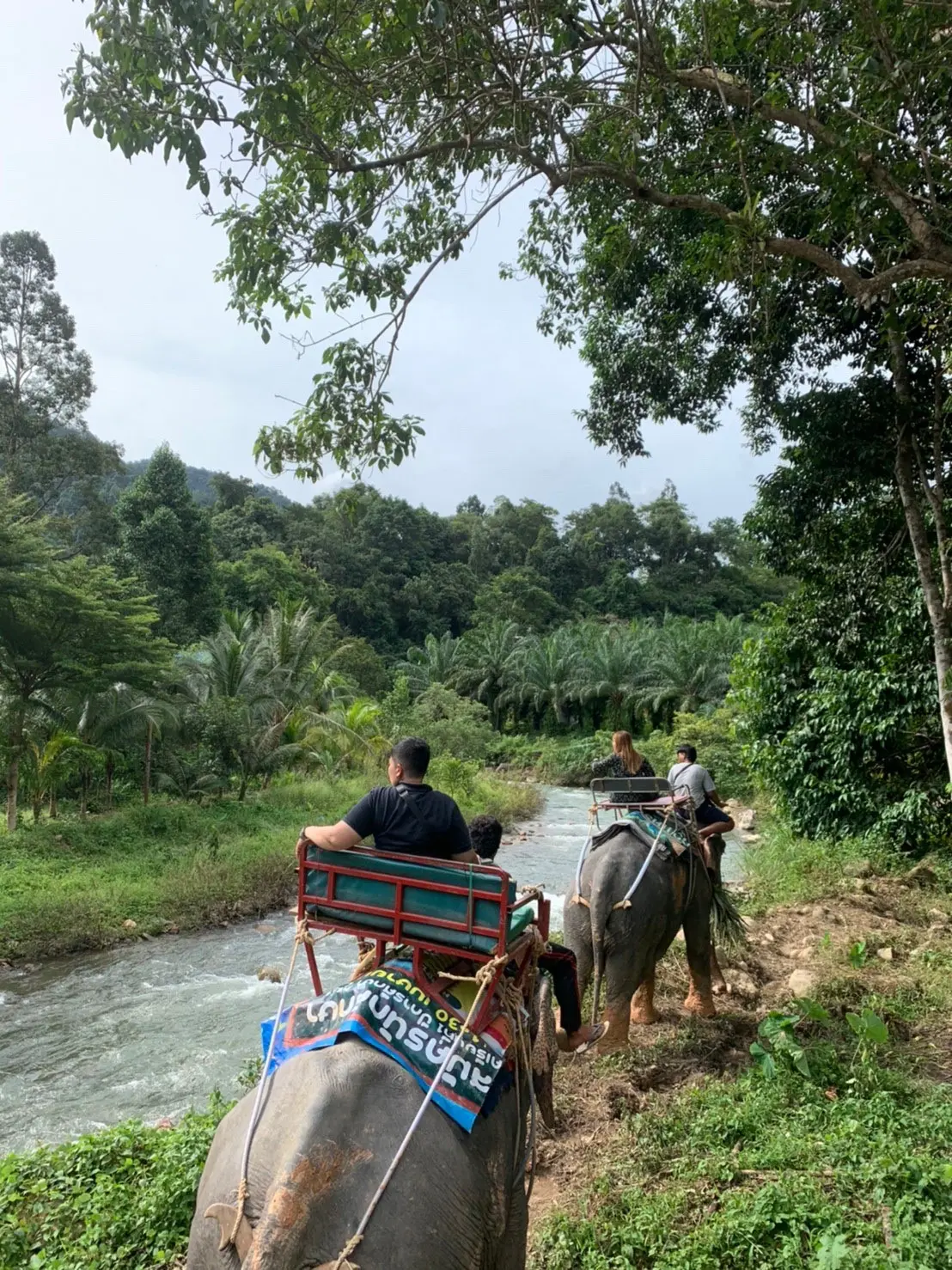 Join Tour White Water Rafting, Jungle Walk, ATV Adventure and Elephant Trekking from Phuket in Phuket - Photo 4
