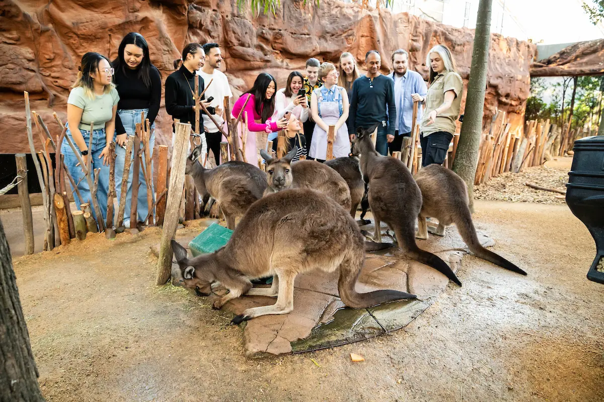 WILD LIFE Sydney in Sydney - Photo 3