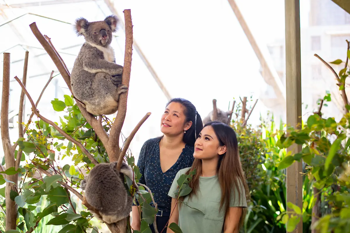 WILD LIFE Sydney in Sydney - Photo 4