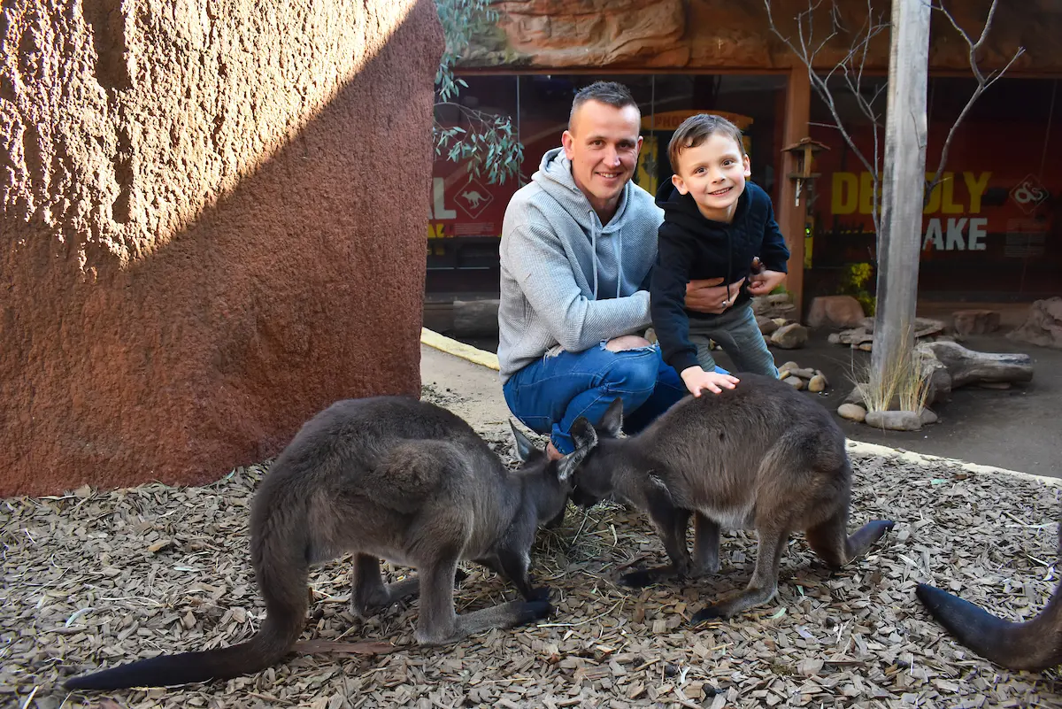 WILD LIFE Sydney in Sydney - Photo 6